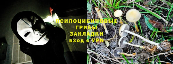 эйфоретик Баксан
