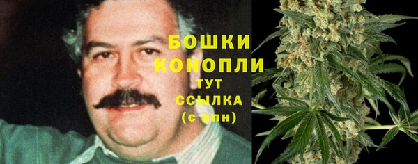эйфоретик Баксан