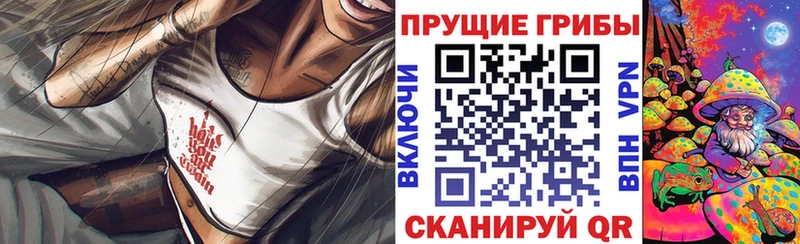 Псилоцибиновые грибы мицелий где можно купить наркотик Новоржев